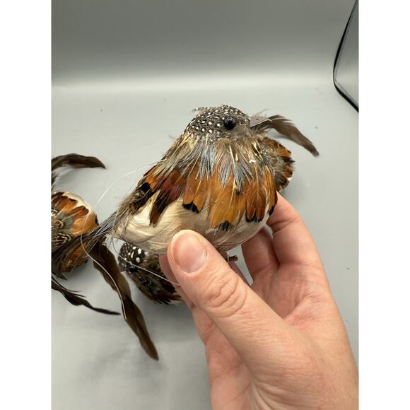 Set of 4 Feathered Clip-On Birds Long Tail Artificial Craft Décor Ornament Lot - Picture 4 of 7